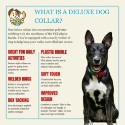 Country Brook Petz Deluxe Dairy Cow Dog Collar - Made In The U.S.A. (1 Inch, Medium)