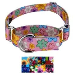 Country Brook Petz Martingale Dog Collar Floral Collection With 8 Charming Designs 11 Country Brook Petz Martingale Dog Collar Floral Collection With 8 Charming Designs -Pet Shop GUEST 423f29f2 62c7 4d3e ac37 f278e9ac295b