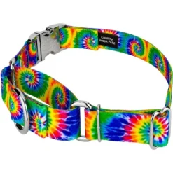 Country Brook Petz Martingale Dog Collar With Premium Buckle - Groovy Collection