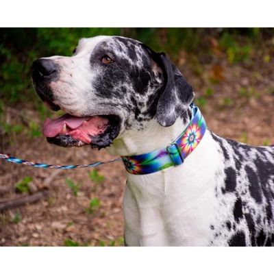 Country Brook Petz Tie Dye Flowers Martingale Dog Collar 11 Country Brook Petz Tie Dye Flowers Martingale Dog Collar - Image 9