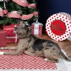 Country Brook Petz HossFit Jr Wide Martingale Dog Collar - Plaid And Argyle Collection -Pet Shop GUEST 42a2ca20 1d96 419e 9f22 38f2c7b6e59d