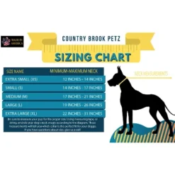 Country Brook Petz Rainbow Hearts Martingale Dog Collar With Premium Buckle (1 Inch, Large)