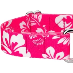 Country Brook Petz Pink Hawaiian Martingale Dog Collar And Leash -Pet Shop GUEST 42feca38 b7eb 4488 b96a 77f7659f01e4