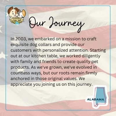 Country Brook Petz HossFit Jr Wide Martingale Dog Collar - Paisley Collection 10 Country Brook Petz HossFit Jr Wide Martingale Dog Collar - Paisley Collection - Image 8