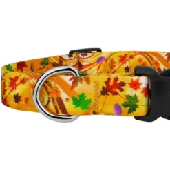 Country Brook Petz Deluxe Autumn Wind Dog Collar And Leash 9 Country Brook Petz Deluxe Autumn Wind Dog Collar And Leash -Pet Shop GUEST 43aa5ce6 4f46 4184 9184 9158f66f5c39