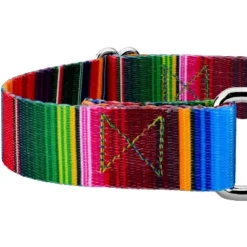 Country Brook Petz Serape Martingale Dog Collar And Leash 9 Country Brook Petz Serape Martingale Dog Collar And Leash -Pet Shop GUEST 44105439 3d20 4077 b3b1 d1683cc2acae