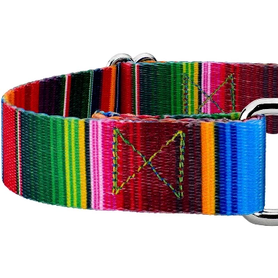 Country Brook Petz Serape Martingale Dog Collar And Leash 5 Country Brook Petz Serape Martingale Dog Collar And Leash - Image 3