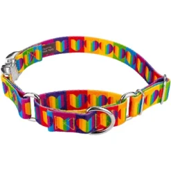 Country Brook Petz Rainbow Hearts Martingale Dog Collar With Premium Buckle (1 Inch, Large) 11 Country Brook Petz Rainbow Hearts Martingale Dog Collar With Premium Buckle (1 Inch, Large) -Pet Shop GUEST 4447cf69 ccf1 42ad a09a 7b37002d042d 1