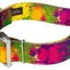 Country Brook Petz 1 1/2 Inch Premium Paint Splatter Dog Collar