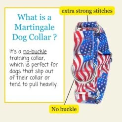 Country Brook Petz HossFit Jr Wide Reflective Martingale Dog Collar Collection Featuring Night Safe Designs -Pet Shop GUEST 44da2be1 f720 491d a558 c2fd97d52589