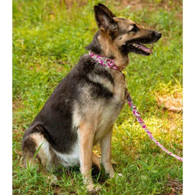 Country Brook Petz HossFit Jr Wide Premium Dog Collar - Paisley Collection (Pink Paisley, Medium) 3 Country Brook Petz HossFit Jr Wide Premium Dog Collar - Paisley Collection (Pink Paisley, Medium)