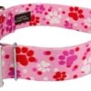 Country Brook Petz 1 1/2 Inch Premium Puppy Love Dog Collar -Pet Shop GUEST 4551ce1d 1bd4 4189 83f2 2f144d1187f3