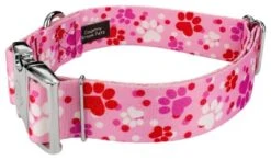Country Brook Petz 1 1/2 Inch Premium Puppy Love Dog Collar