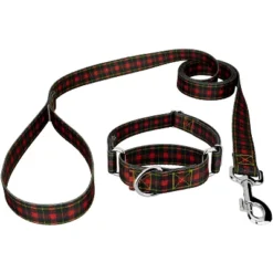 Country Brook Petz Buffalo Plaid Martingale Dog Collar And Leash -Pet Shop GUEST 456c3396 0b1b 443c affc f5b21f41a6a1