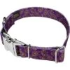 Country Brook Petz Premium Purple Paisley Dog Collar -Pet Shop GUEST 45ca0ab6 32fa 4193 a971 49c39996a7d4