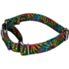 Country Brook Petz Tie Dye Stripes Martingale Dog Collar -Pet Shop GUEST 460df580 fc9d 4f81 8d99 fdc24590a762