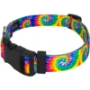 Country Brook Petz Deluxe Classic Tie Dye Dog Collar And Leash