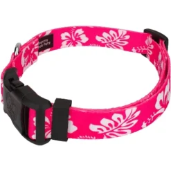 Country Brook Petz Pink Hawaiian Deluxe Dog Collar And Leash 11 Country Brook Petz Pink Hawaiian Deluxe Dog Collar And Leash -Pet Shop GUEST 46391484 9aa3 4e07 b392 9f2b490f65d7