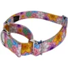 Country Brook Petz May Flowers Martingale Dog Collar -Pet Shop GUEST 4672f7a7 be8f 476d b678 7aff6523a0c9
