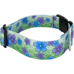 Country Brook Petz HossFit Jr Wide Deluxe Dog Collar - Spring Collection -Pet Shop GUEST 46eb2873 3c2e 4ddd 916c 034b3b1c091d