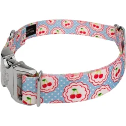 Country Brook Petz Premium Cherry On Top Dog Collar Limited Edition