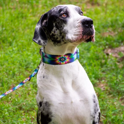 Country Brook Petz Tie Dye Flowers Martingale Dog Collar And Leash 4 Country Brook Petz Tie Dye Flowers Martingale Dog Collar And Leash - Image 2