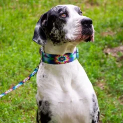 Country Brook Petz Tie Dye Flowers Martingale Dog Collar 19 Country Brook Petz Tie Dye Flowers Martingale Dog Collar -Pet Shop GUEST 47d892c4 b04c 4d15 972a 1a8406bafa59 2