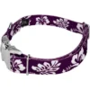 Country Brook Petz Premium Purple Hawaiian Dog Collar