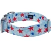 Country Brook Petz HossFit Jr Wide Premium Dog Collar - Americana Collection -Pet Shop GUEST 4863ff8a bff4 4827 b909 e02f8f9017d3
