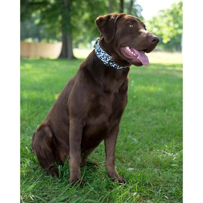 Country Brook Petz Dairy Cow Martingale Dog Collar 3 Country Brook Petz Dairy Cow Martingale Dog Collar