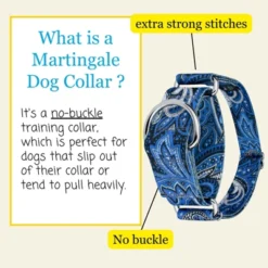 Country Brook Petz HossFit Jr Wide Martingale Dog Collar - Paisley Collection 14 Country Brook Petz HossFit Jr Wide Martingale Dog Collar - Paisley Collection -Pet Shop GUEST 48b85230 1f61 4672 9838 0f23483d1ebf