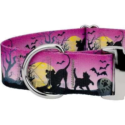 Country Brook Petz HossFit Jr Wide Premium Dog Collar - Halloween Collection 5 Country Brook Petz HossFit Jr Wide Premium Dog Collar - Halloween Collection - Image 3