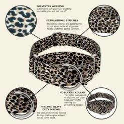 Country Brook Petz HossFit Jr Wide Martingale Dog Collar - Animal Print Collection 16 Country Brook Petz HossFit Jr Wide Martingale Dog Collar - Animal Print Collection -Pet Shop GUEST 493b837e 6c72 4e12 aa92 9fbc37564ec2