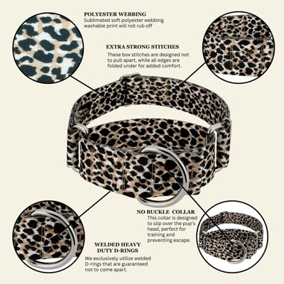 Country Brook Petz HossFit Jr Wide Martingale Dog Collar - Animal Print Collection 8 Country Brook Petz HossFit Jr Wide Martingale Dog Collar - Animal Print Collection - Image 6