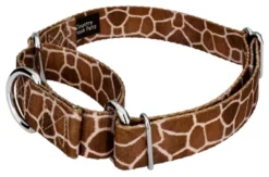 Country Brook Petz Giraffe Martingale Dog Collar 17 Country Brook Petz Giraffe Martingale Dog Collar -Pet Shop GUEST 49ac07c6 ccd9 4527 8e74 fdaf6f7e5946