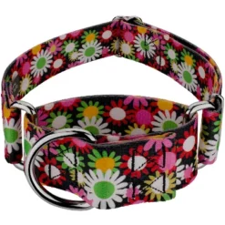 Country Brook Petz HossFit Jr Wide Martingale Dog Collar - Floral Collection -Pet Shop GUEST 4a01c78c 95ed 4552 82f2 1c74ca7a4f32 1