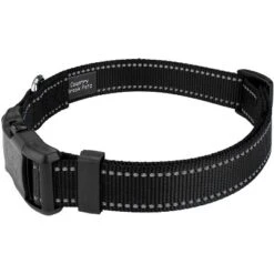 Country Brook Petz Deluxe Reflective Nylon Dog Collar & Leash