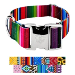 Country Brook Petz HossFit Jr Wide Premium Dog Collar - Country And Western Collection -Pet Shop GUEST 4ae80d5f 81da 473c b068 3953335e36b2