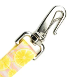 Country Brook Petz 6 Foot Dog Leash - Tasty Collection -Pet Shop GUEST 4b11e778 25c1 4eca 99f0 f9826e0d1a8a