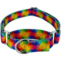 Country Brook Petz Kaleidoscope Martingale Dog Collar -Pet Shop GUEST 4bb2edd3 c269 43be ac06 63dc5ce0443b