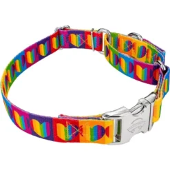 Country Brook Petz Rainbow Hearts Martingale Dog Collar With Premium Buckle (1 Inch, Large) 9 Country Brook Petz Rainbow Hearts Martingale Dog Collar With Premium Buckle (1 Inch, Large) -Pet Shop GUEST 4c528d78 a79c 4604 9546 438a2fc205f6 1