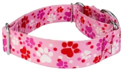 Country Brook Petz 1 1/2 Inch Puppy Love Martingale Dog Collar -Pet Shop GUEST 4d0e667a dd16 47b1 9f1c 5f7fcf0b129b
