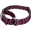 Country Brook Petz - Pink Leopard Martingale Dog Collar -Pet Shop GUEST 4d893586 c8b3 491b a0a9 44a8509c9f0d