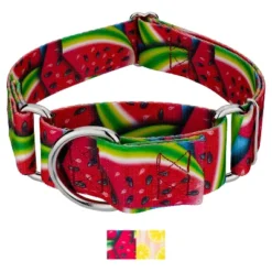 Country Brook Petz HossFit Jr Wide Martingale Dog Collar, Tasty Collection -Pet Shop GUEST 4e1b8dc1 67f6 4e88 b746 d239fda6d857