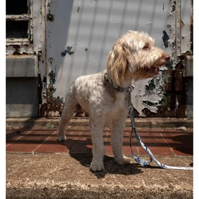 Country Brook Petz Urban Camo Martingale Dog Collar And Leash 3 Country Brook Petz Urban Camo Martingale Dog Collar And Leash - Image 2