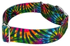 Country Brook Petz 1 1/2 Inch Tie Dye Stripes Martingale Dog Collar 14 Country Brook Petz 1 1/2 Inch Tie Dye Stripes Martingale Dog Collar -Pet Shop GUEST 4eede742 b450 452a 8860 0a2746db4174