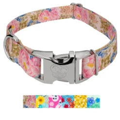 Country Brook Petz Premium Dog Collar - Spring Collection 9 Country Brook Petz Premium Dog Collar - Spring Collection -Pet Shop GUEST 4f9cf9de 305e 42b6 998d 37ea45750bce