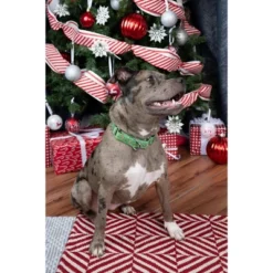 Country Brook Petz Candy Cane Christmas Martingale Dog Collar