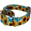 Country Brook Petz 2 Inch Sunflowers Martingale Dog Collar -Pet Shop GUEST 509328ea ea58 4266 81d0 1752ec3f991e