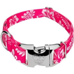 Country Brook Petz Premium Pink Hawaiian Dog Collar 11 Country Brook Petz Premium Pink Hawaiian Dog Collar -Pet Shop GUEST 50b910ea ae52 4c73 a754 edd43b3ddfc7